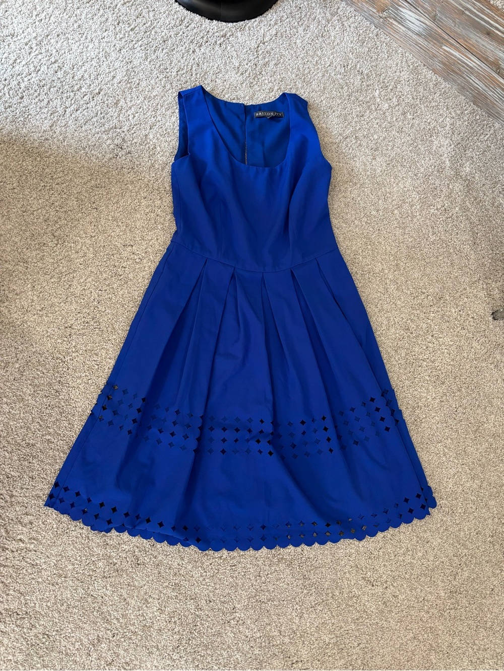 Brixon Ivy James Laser Cut Dress scallop royal blue NWOT M medium